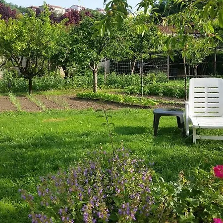 Abbadia Monesiglio