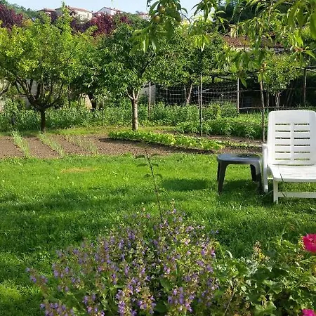 Abbadia Monesiglio