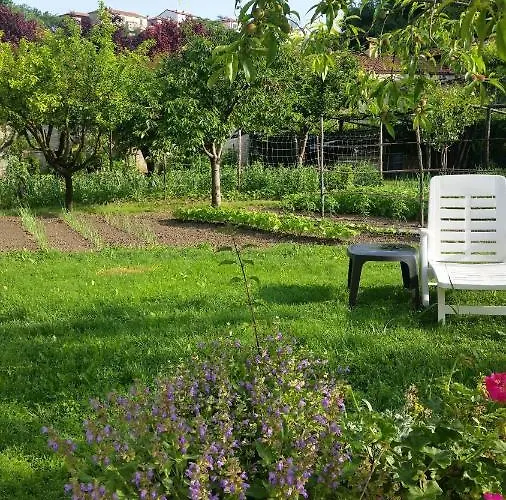 Abbadia Monesiglio